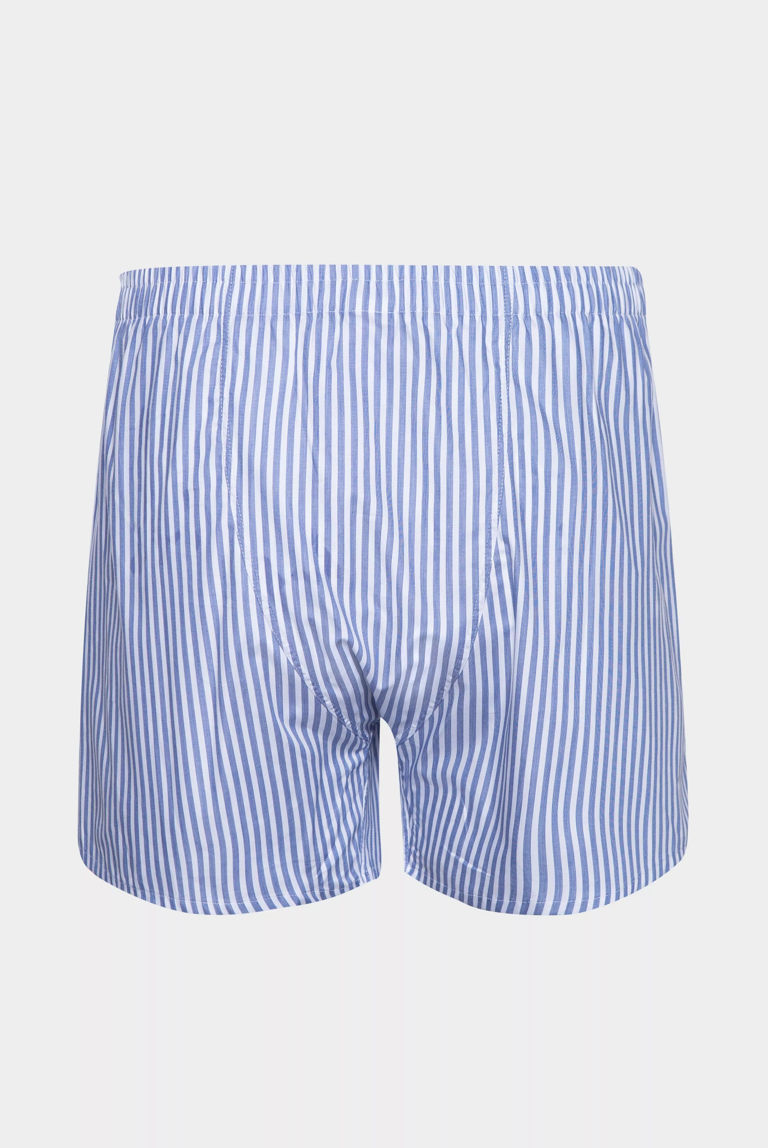 трусы BOXER серо-голубой BOXER_151342_760 ,photo 3