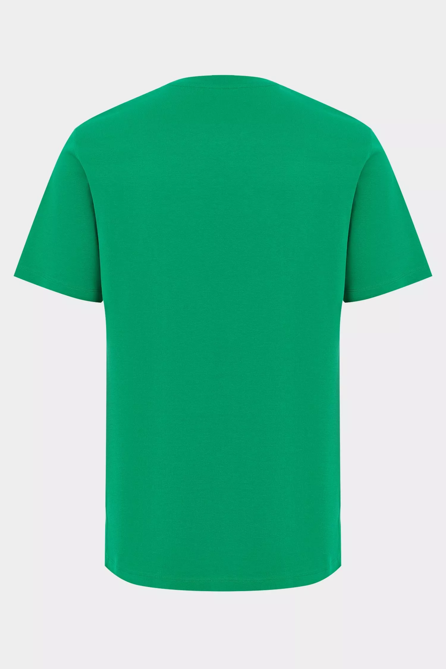 футболка PAOLO зеленый PAOLO_Z20044_950 ,photo 3