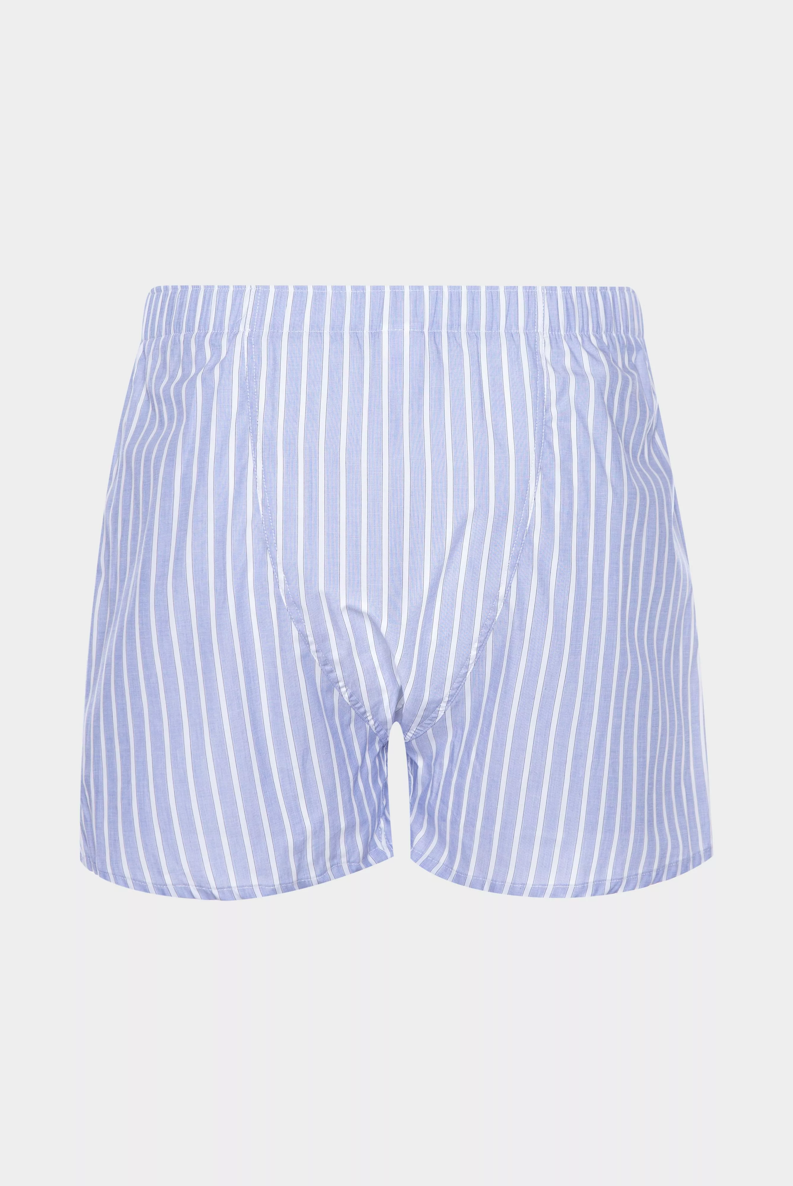 трусы BOXER голубой BOXER_168016_740 ,photo 3