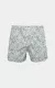 трусы BOXER зеленый BOXER_170255_009 ,photo 2